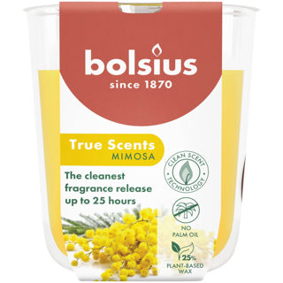 Bolsius | 3 pièces