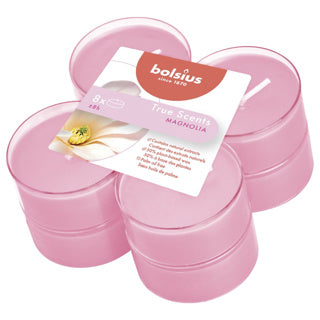 Bolsius maxilight parfum 8 pièces magnolia