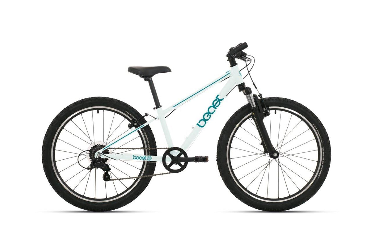 Bikefun vélo 20 la bête 6v