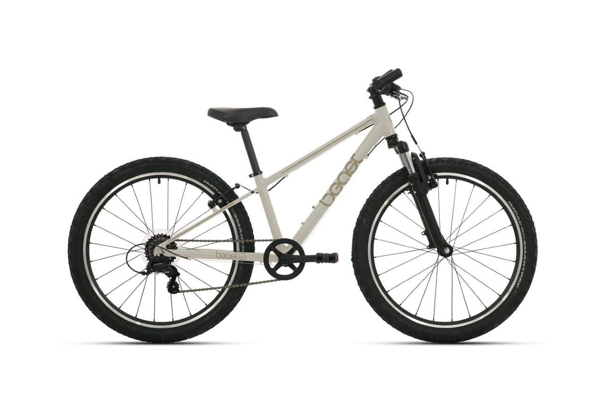 Bikefun vélo 20 la bête 6v