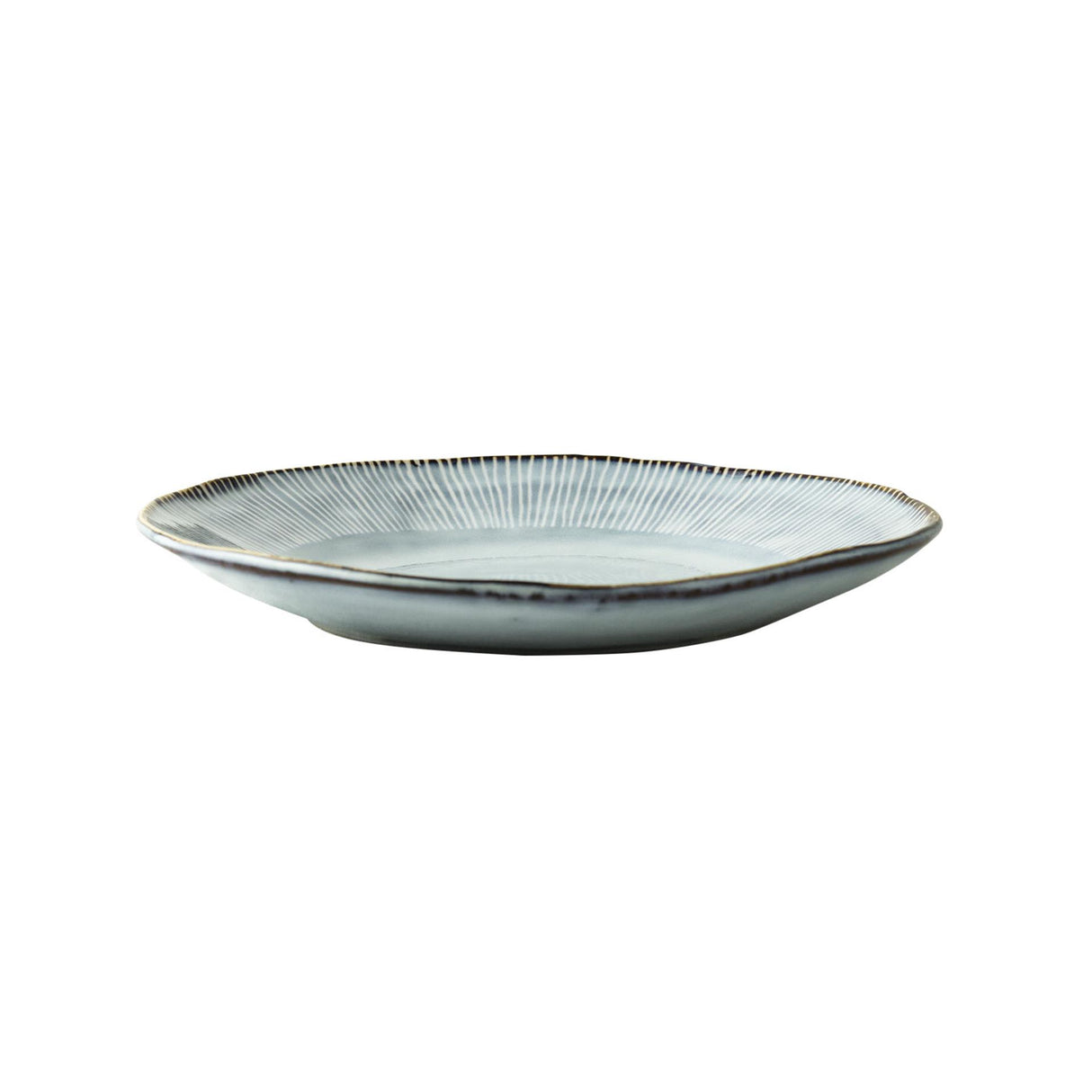 Assiette bio rose hollandaise 21,5cm bleue 4 pcs