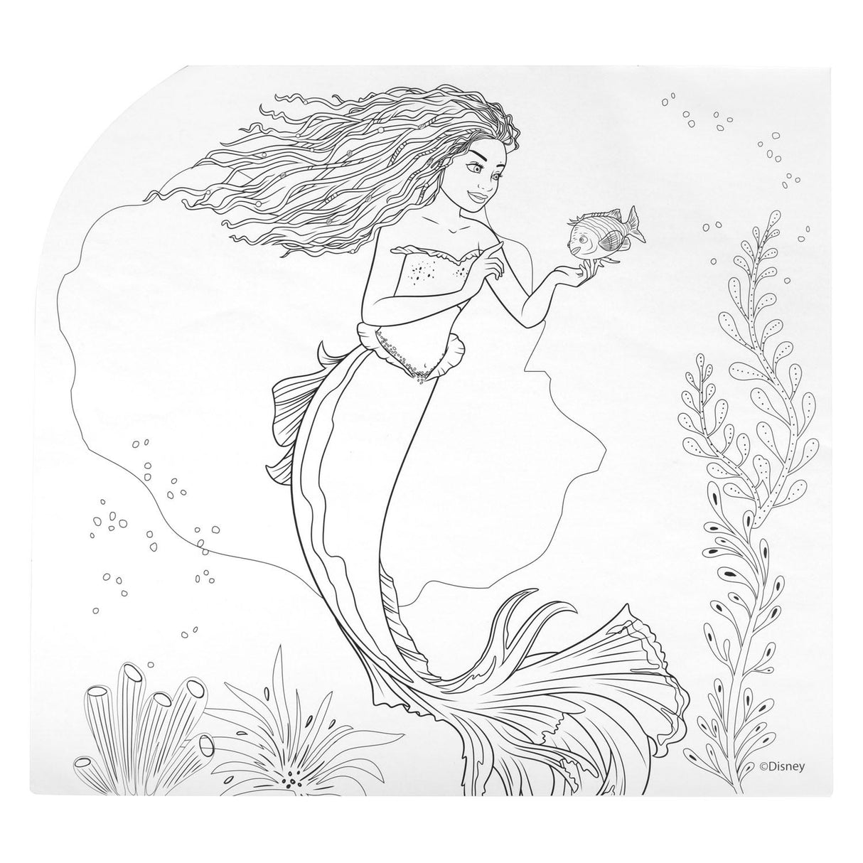 CANENCO LE LITTLE MERMAID 5IN1 COULEUR