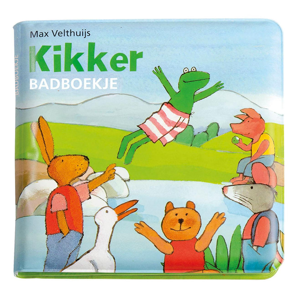 Bambolino Toys Frog Bathbook Amis