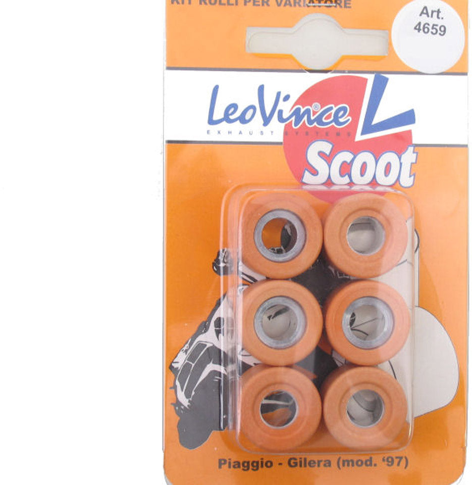 Leovice divers ensembles de rouleaux Leo Vince 19x15.5 - 4,8 grammes