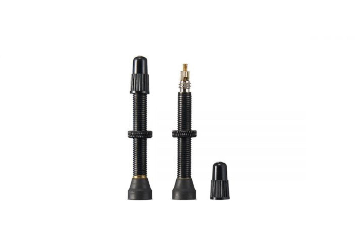 Valve Ritchey Tubless 45mm noir2 pièces