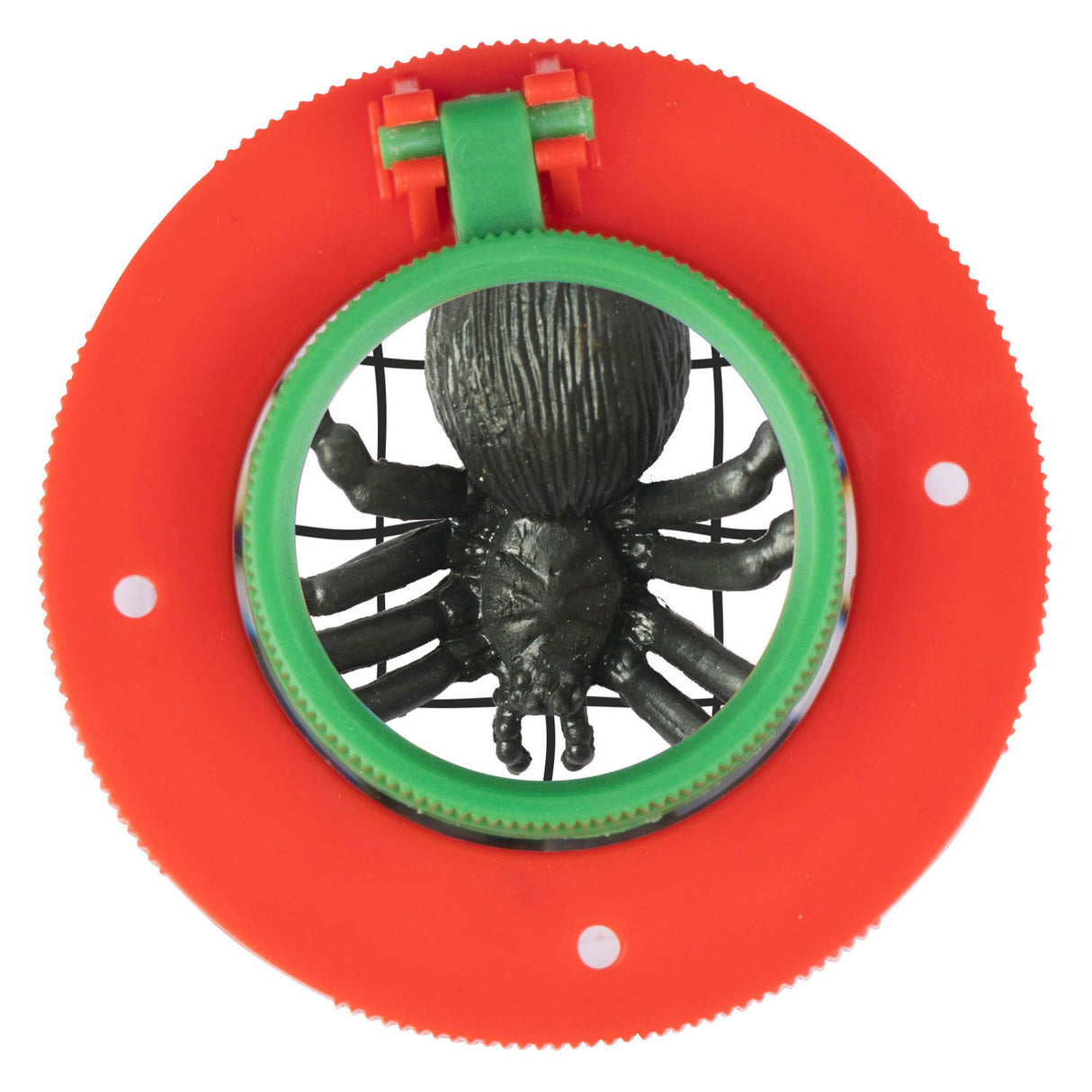 Pot à insectes avec loupe