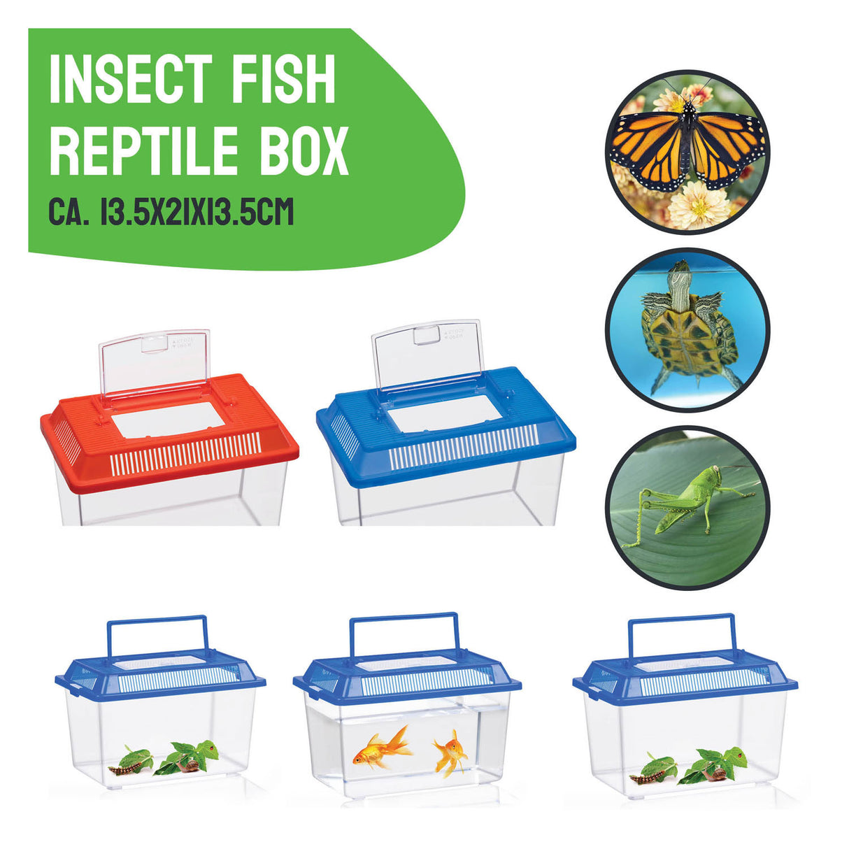Boîte à insectes sans marque sans marque avec couvercle - boîte à insectes en plastique transparent 1,8 litres.