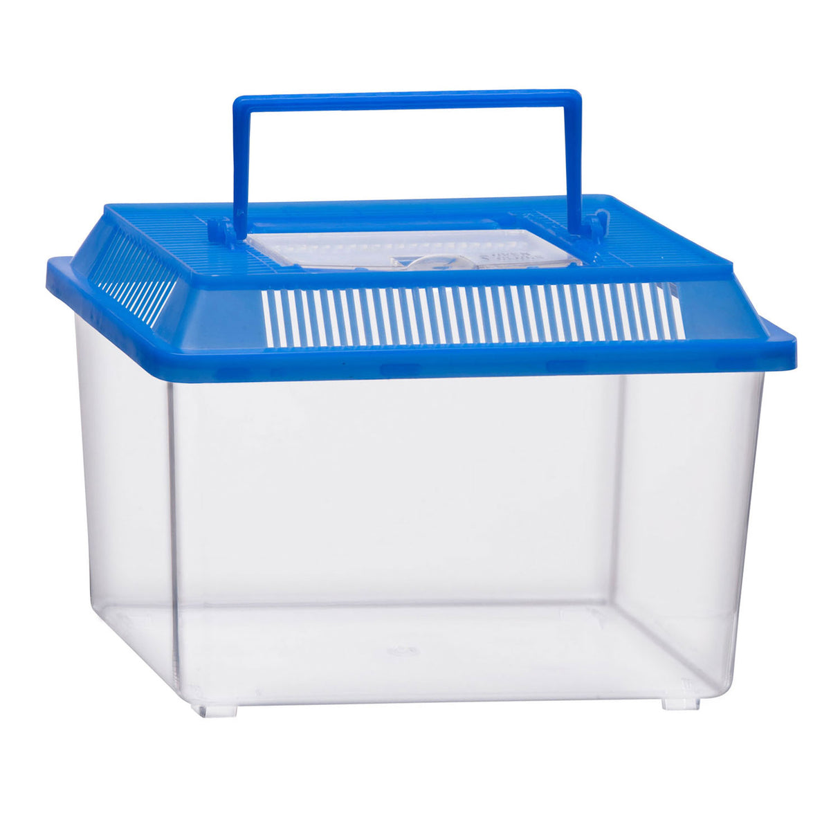 Boîte à insectes sans marque sans marque avec couvercle - boîte à insectes en plastique transparent 1,8 litres.