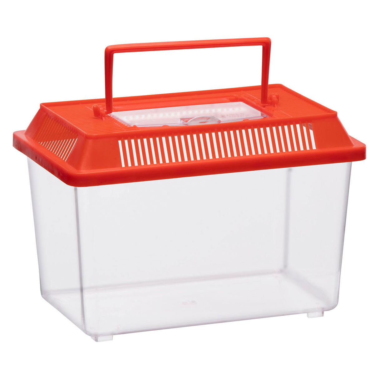 Boîte à insectes sans marque sans marque avec couvercle - boîte à insectes en plastique transparent 1,8 litres.