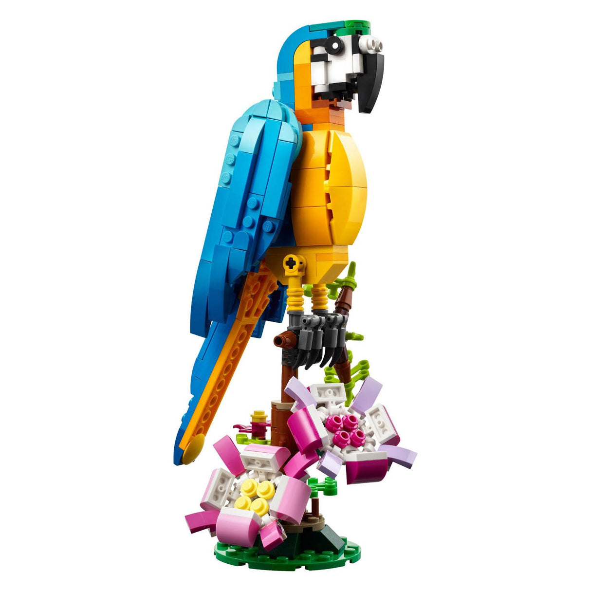 Lego Creator 3en1 perroquet exotique - grenouille - ensemble de jouets animaux poisson pour enfants - 31136