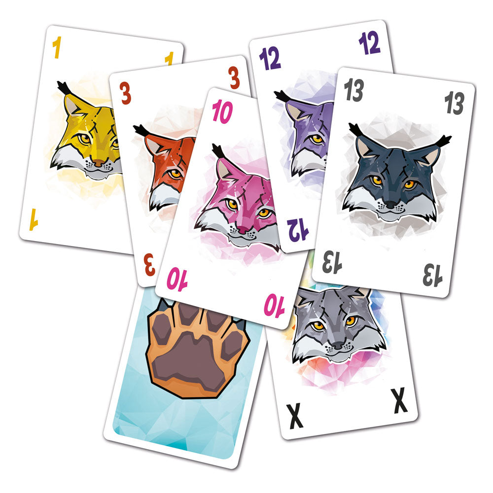 999 matchs 999 Jeux du jeu de cartes Slynx