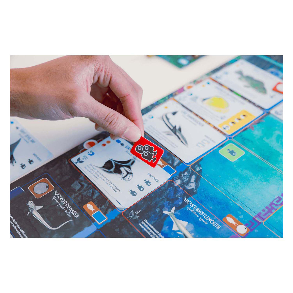 999games 999 jeux jeu de société Finspan