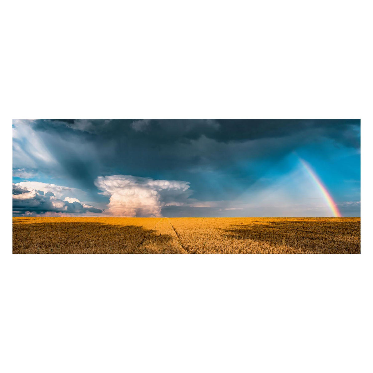 Ravensburger puzzle arc-en-ciel mystique - puzzle - 1000 pièces