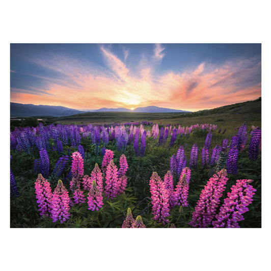 Ravensburger Puzzle Puzzle Lupinen, 1000st.