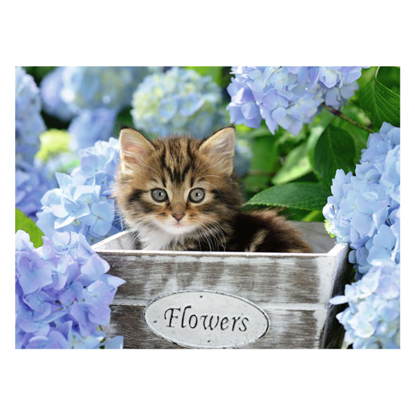 Puzzle de Ravensburger petit chaton 300 xxl pièces
