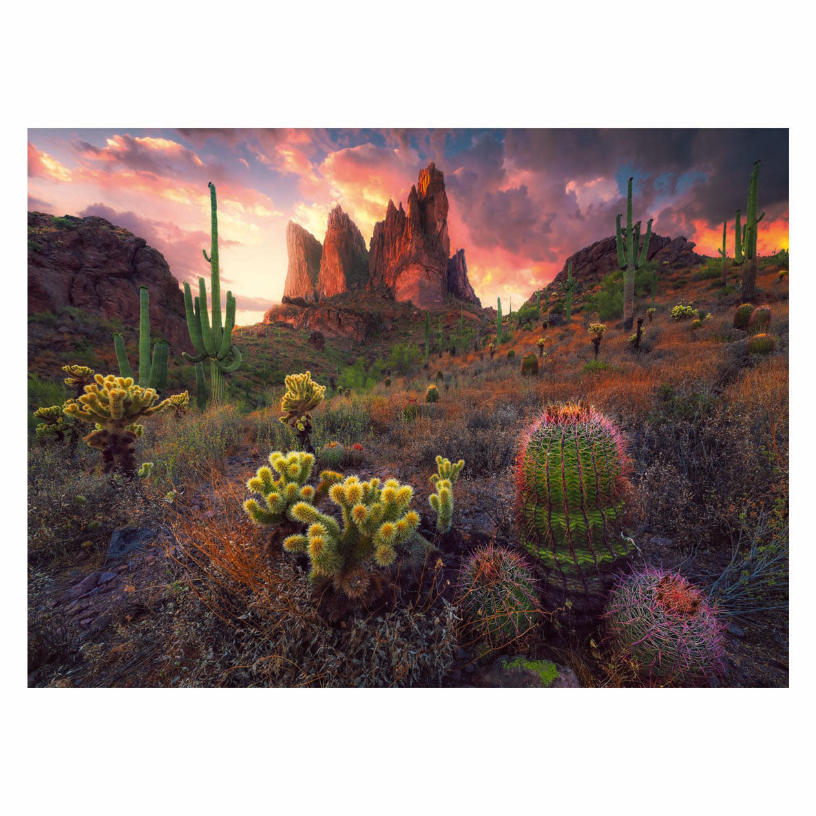 Ravensburger puzzle cactus 500 pièces