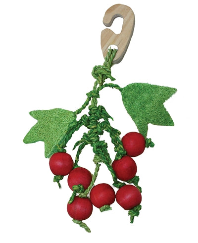 Critter's Choice Happy Pet Grignoteur Bouquet de Baies