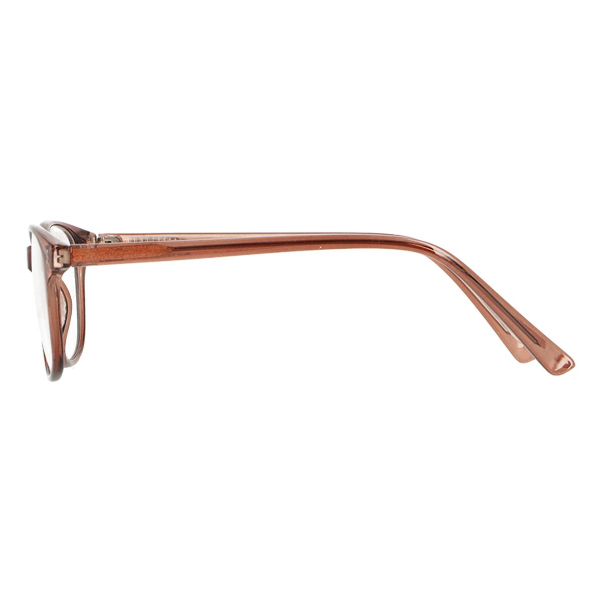 Lunettes de lecture Spectrum marron transparent 1,00