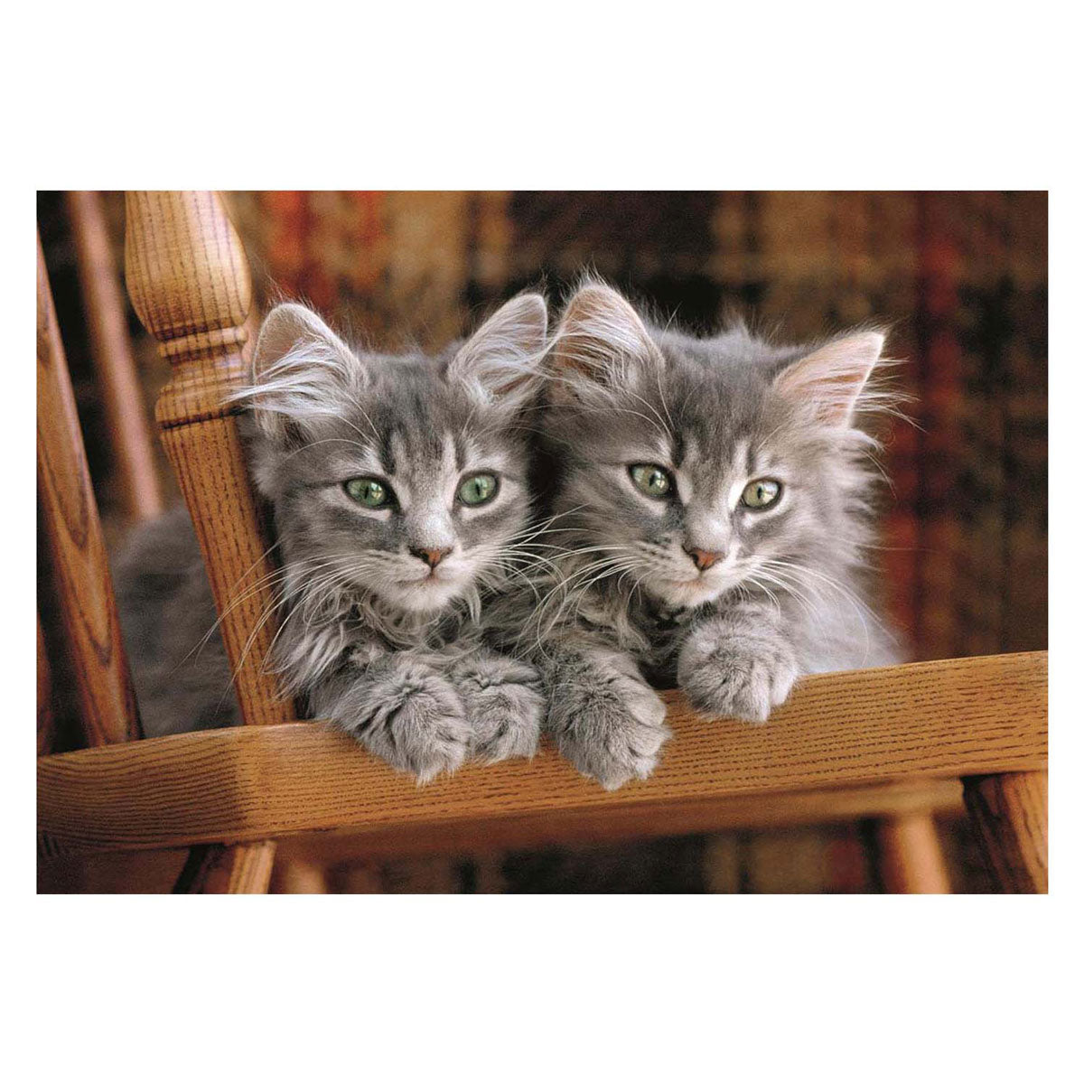 Clementoni puzzle chatons, 500 pcs.