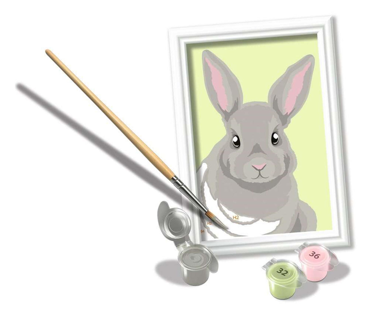 Ravensburger Creart Painting by Number - Gray Rabbit