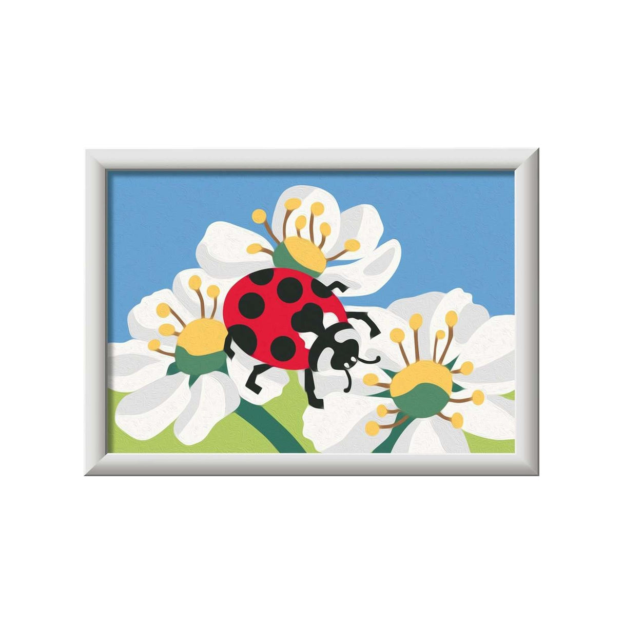Coccinelle création Ravensburger