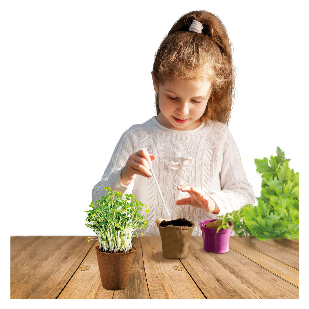 Jardin d'herbes scientifiques Kidscovery