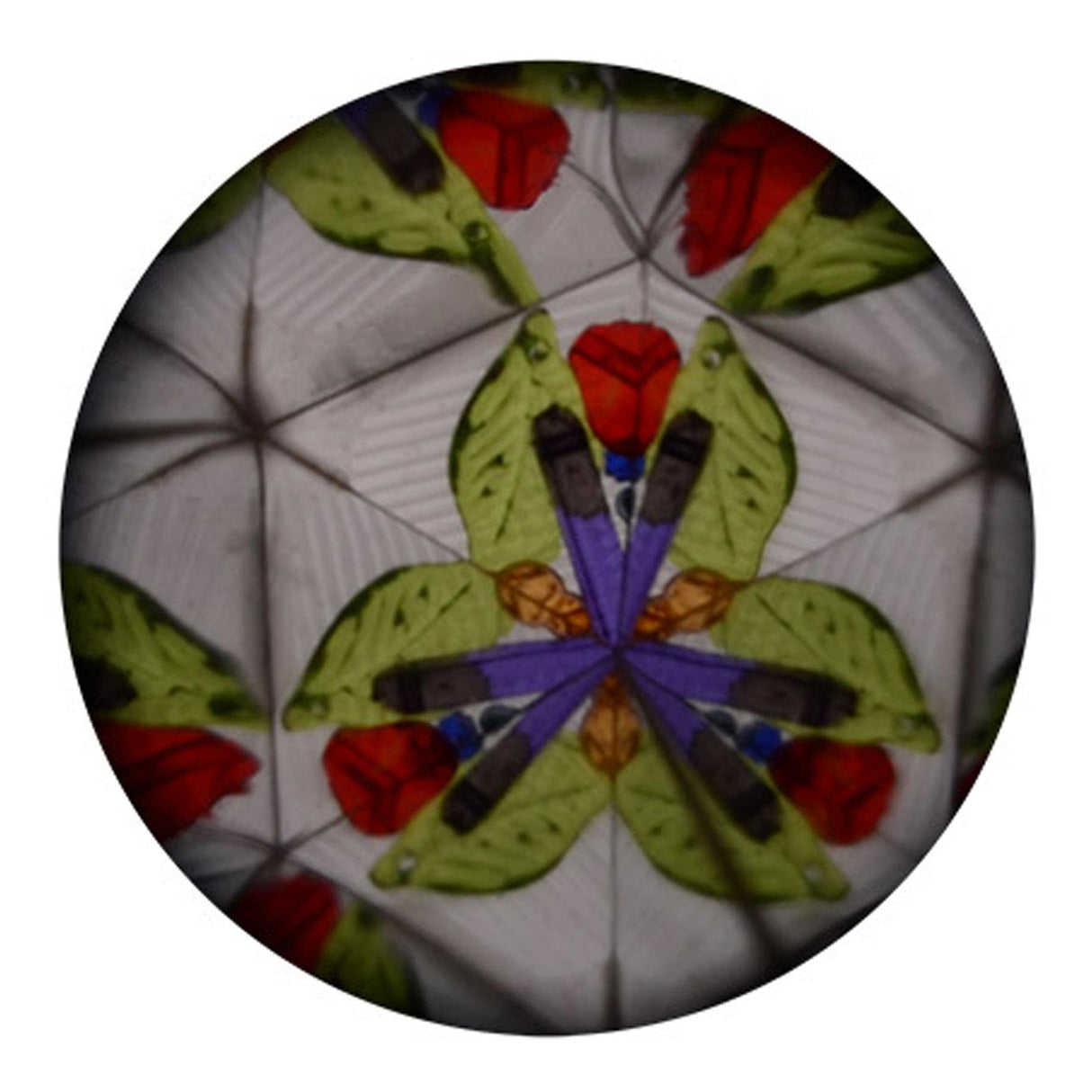JOHNTOY KALEIDOSCOPE Animaux marins