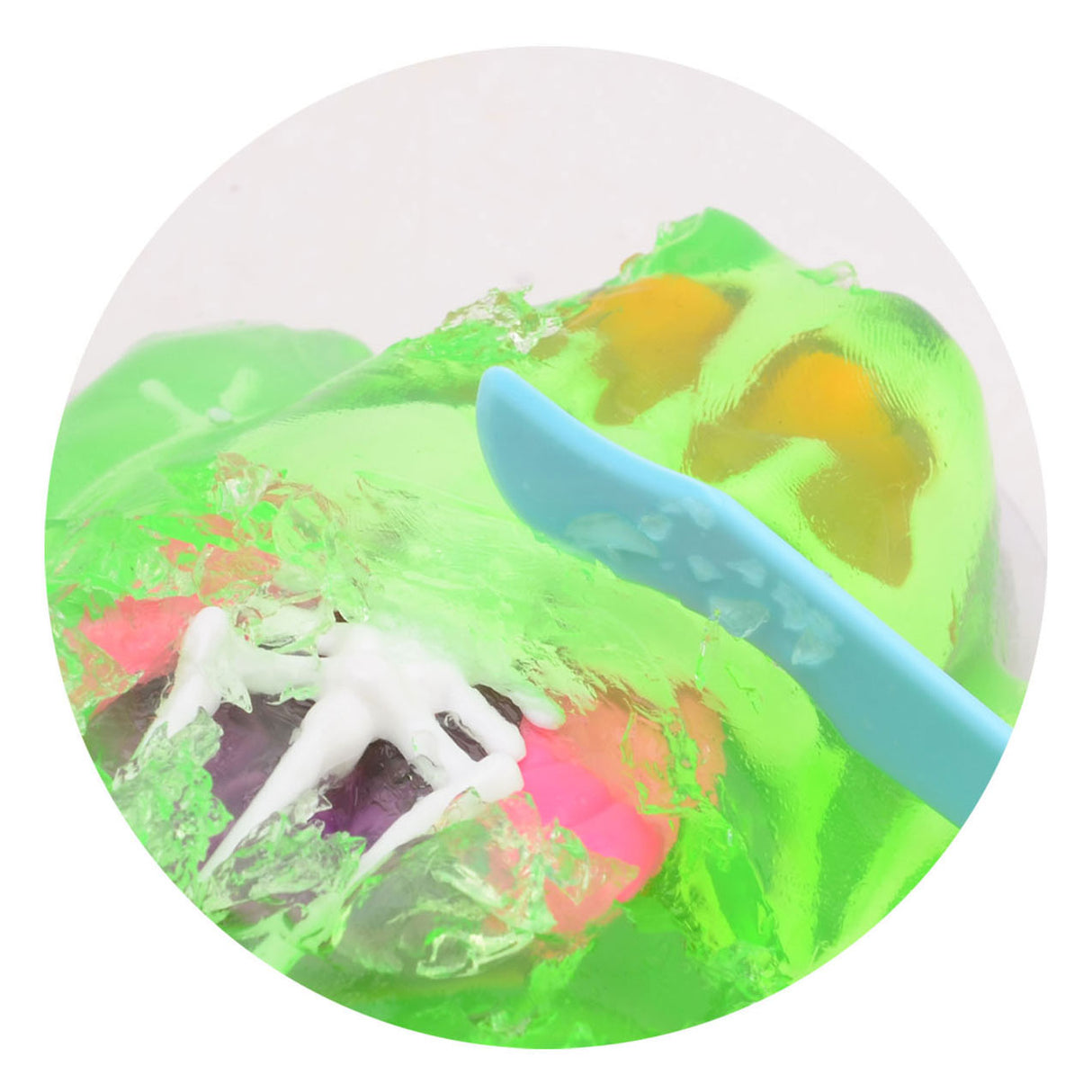 Johntoy explorateur scientifique anatomie de grenouille slime