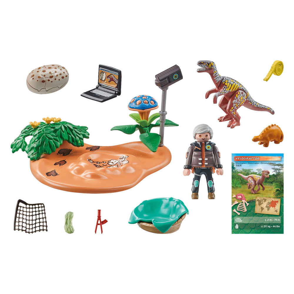 Playmobil dinos stegosaurusnest avec voleur d'oeuf 71526