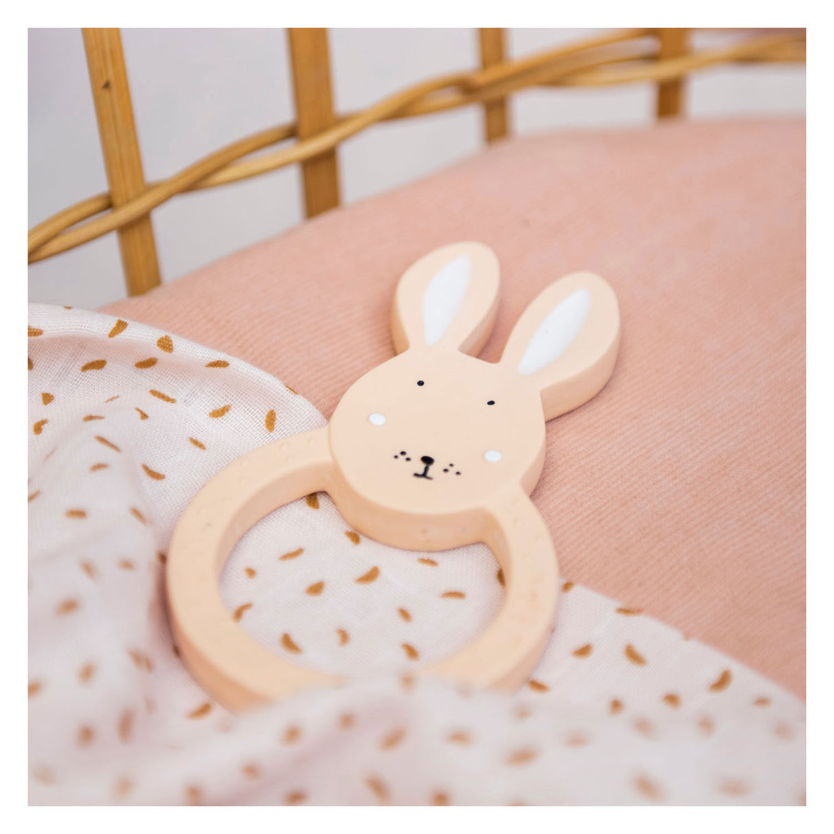 Trixie Bijtring autour de Mme Rabbit