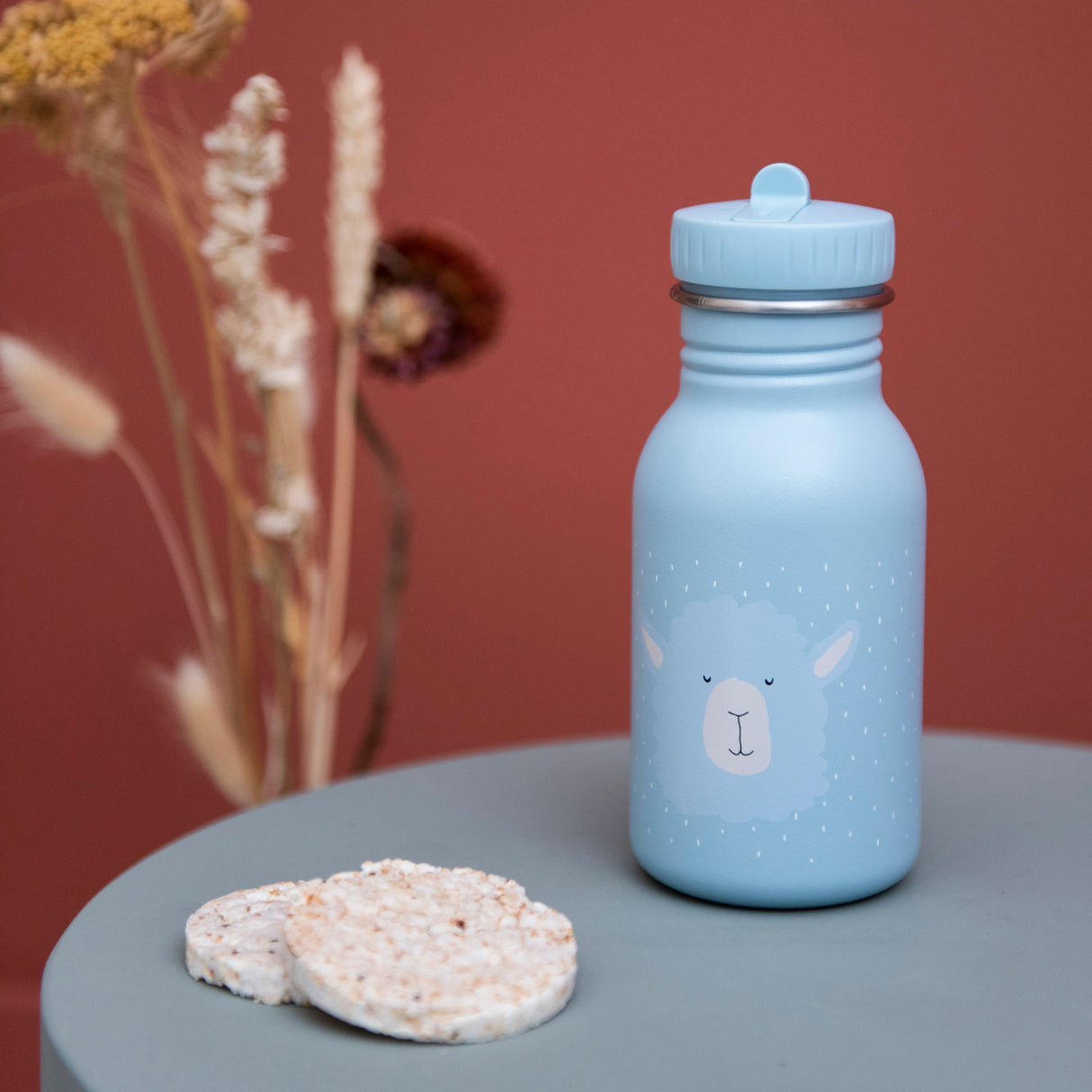 Bouteille de boisson Trixie M. Alpaca, 350 ml