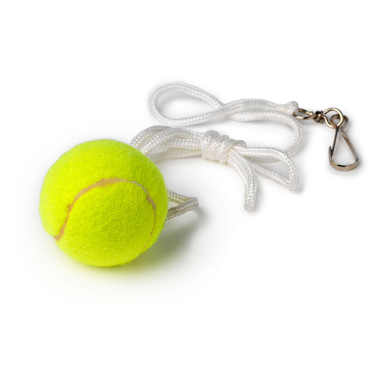 Pole de tennis tactique Bex Sunsport avec 2 raquettes