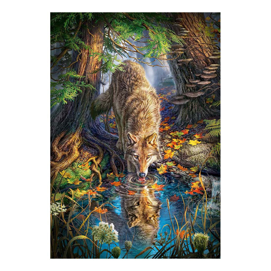 Selecta Castorland Puzzle Loup à l'état sauvage, 1500 pcs.