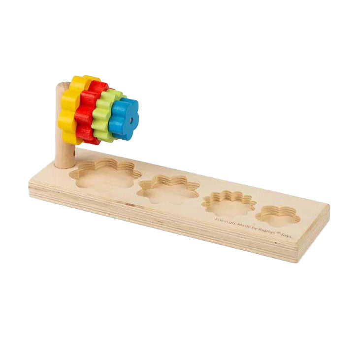 Trieur de fleurs Bigjigs, 5 pcs.