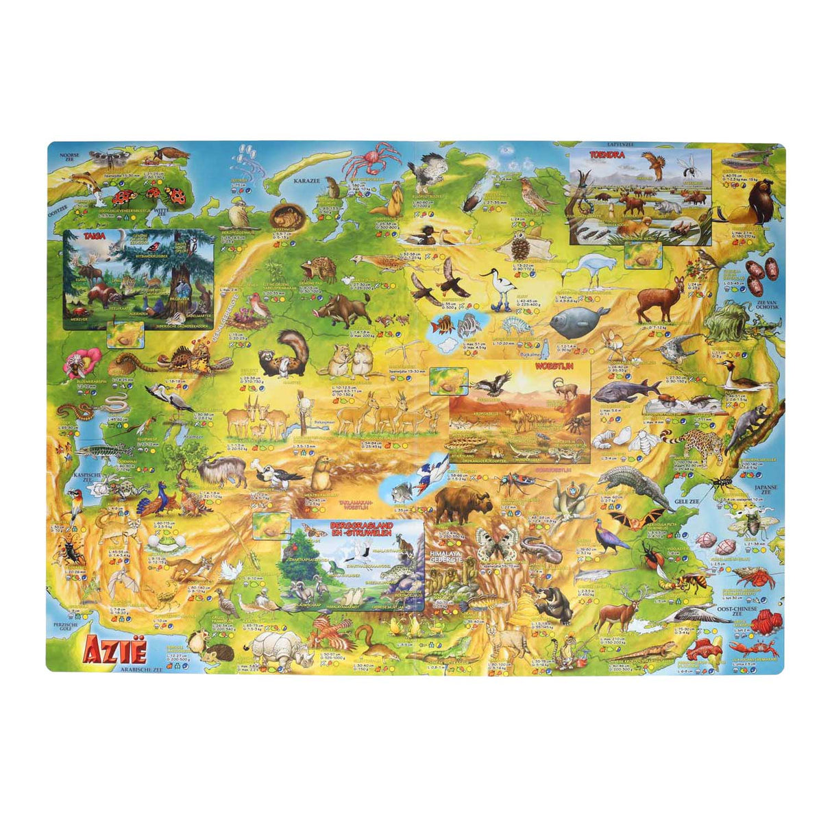 Méga atlas des animaux pour enfants de Mondikaart