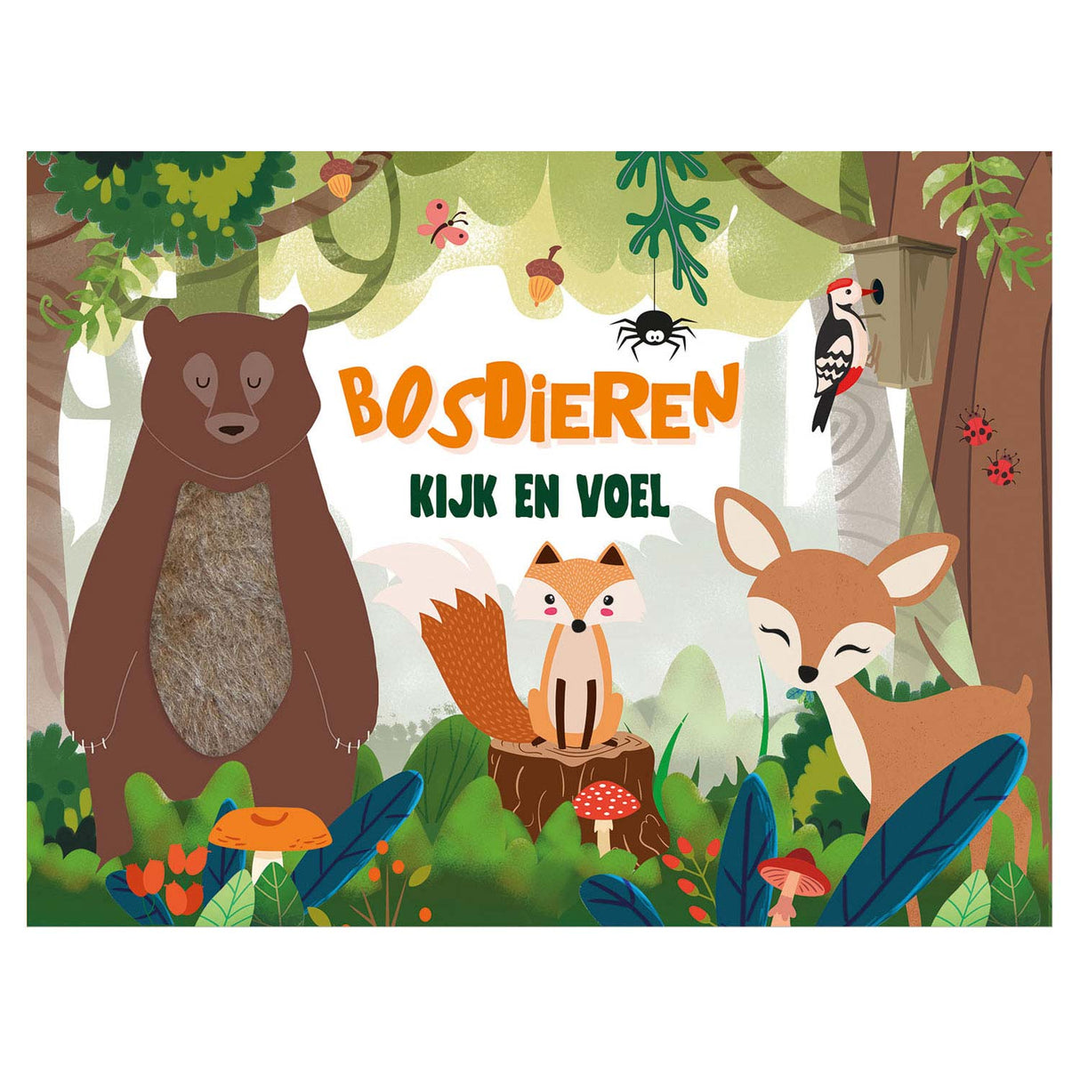 Aspect et toucher - animaux de la forêt