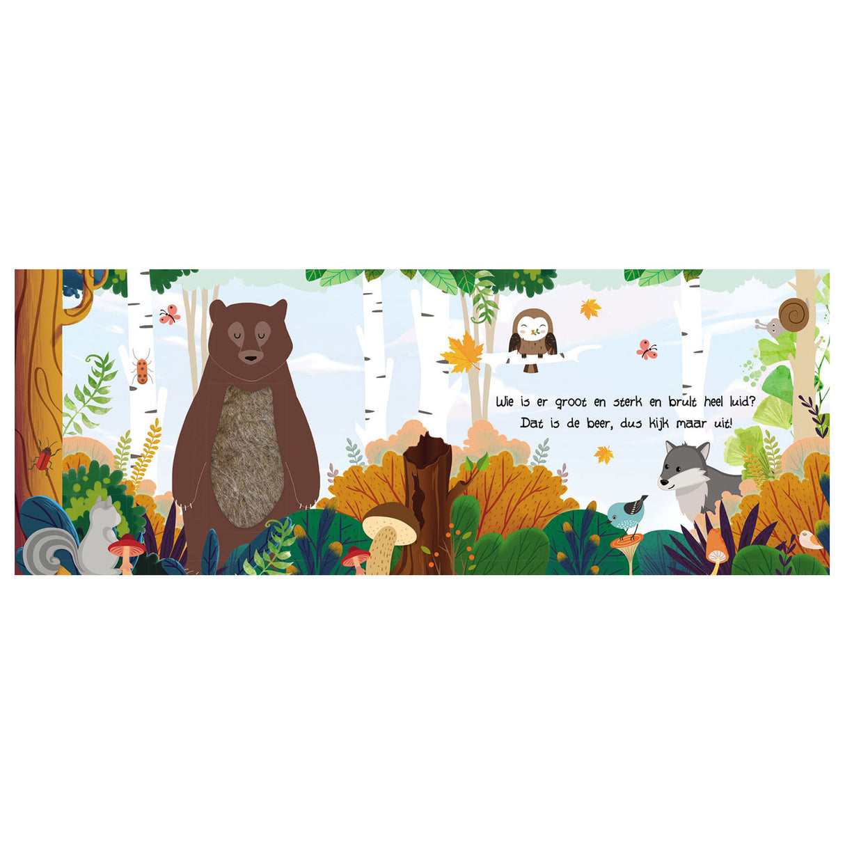 Aspect et toucher - animaux de la forêt