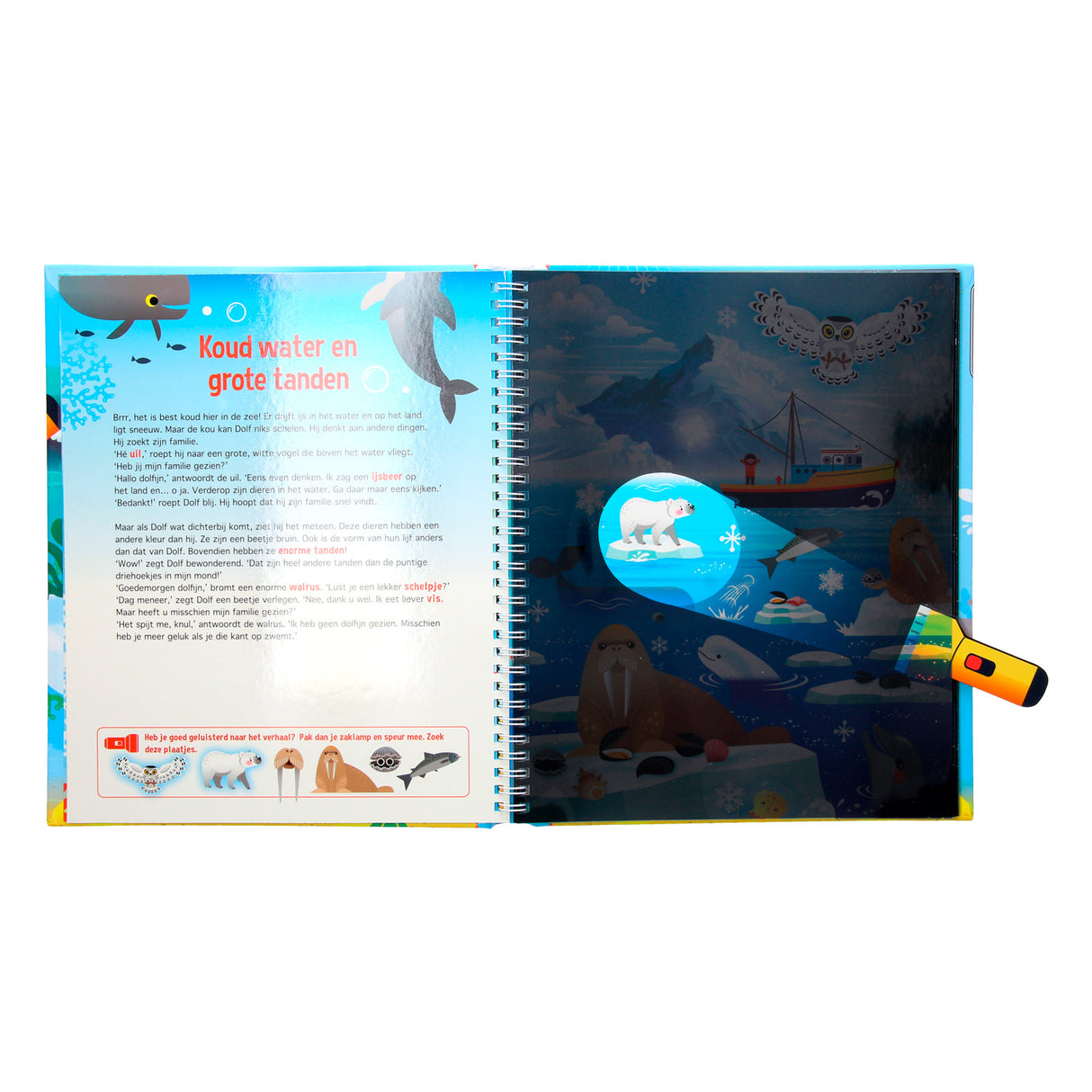 Recherche des dauphins + lampe de poche en carton