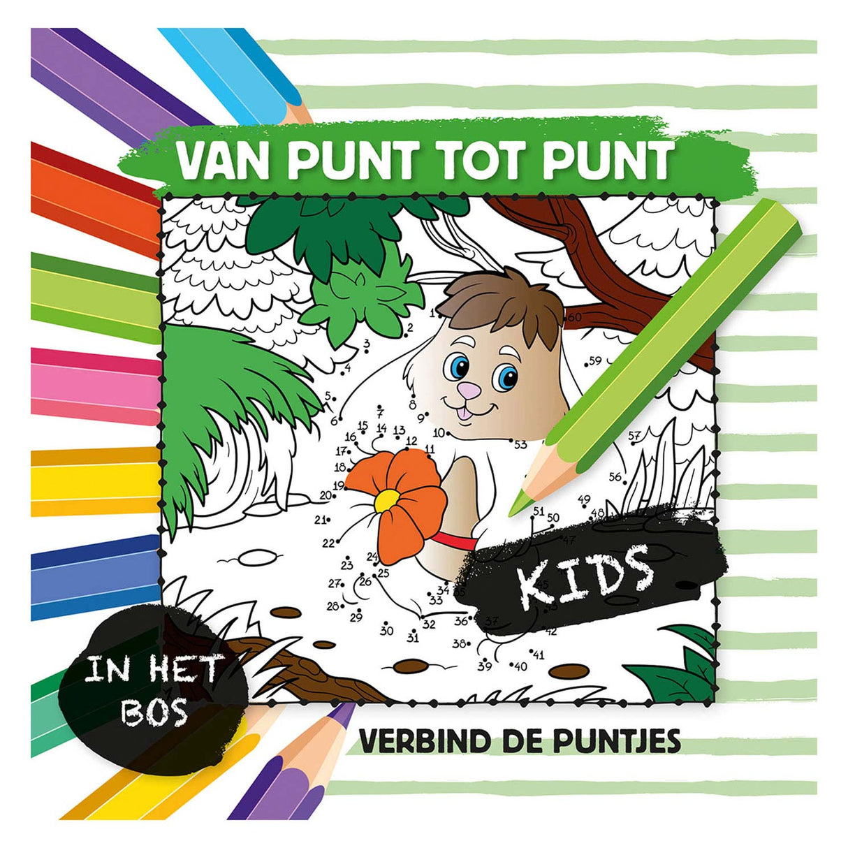 De point à point dans la forêt