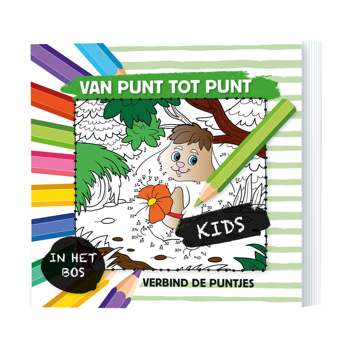 De point à point dans la forêt
