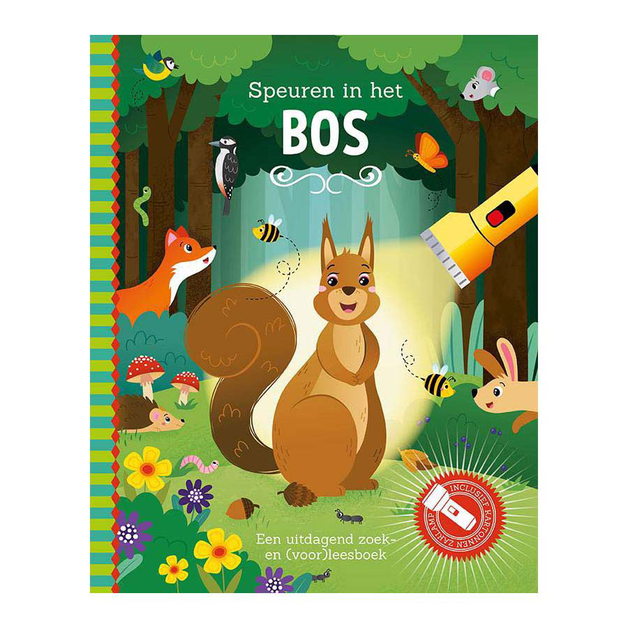 Les éditeurs de lanternes fouillent le livre de recherche forestière avec une lampe de poche en carton