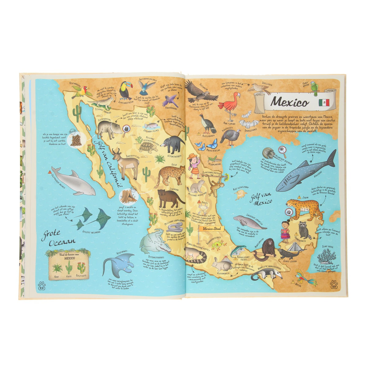 Atlas des animaux des éditeurs Rebo