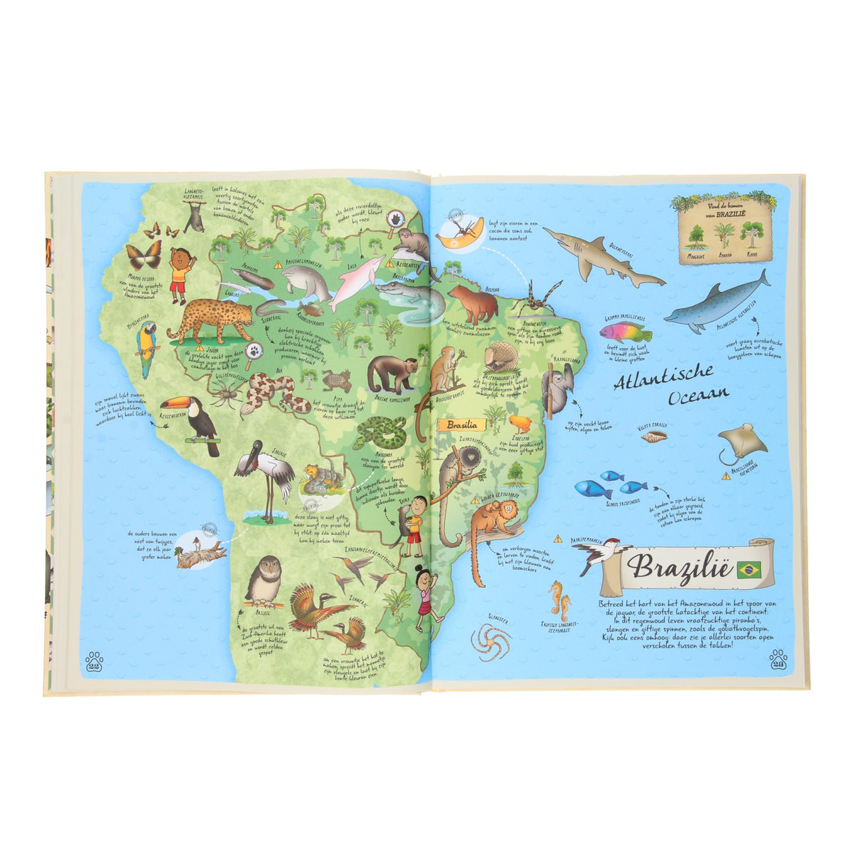 Atlas des animaux des éditeurs Rebo