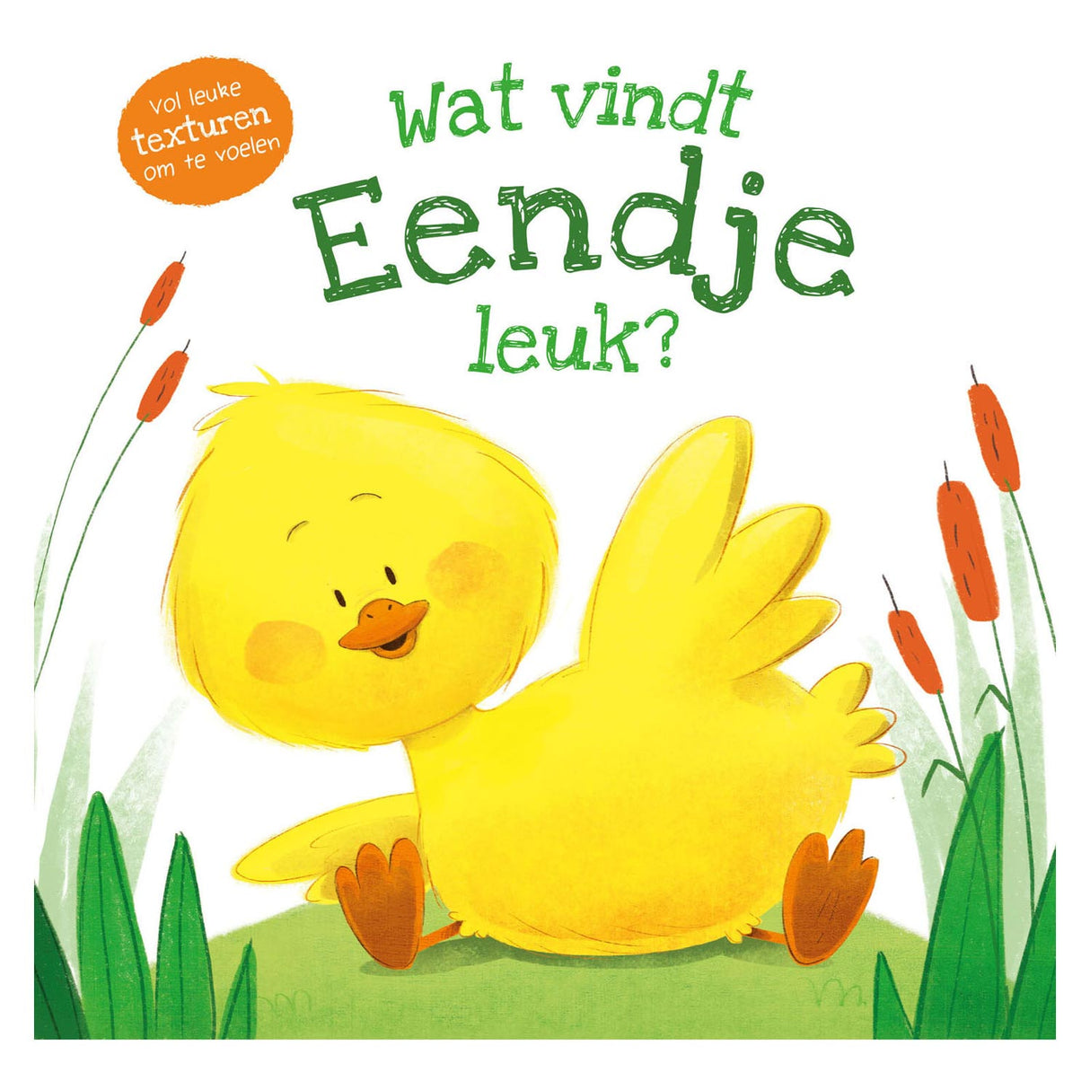 Livre tactile des éditeurs Rebo - qu'est-ce que le canard aime ?