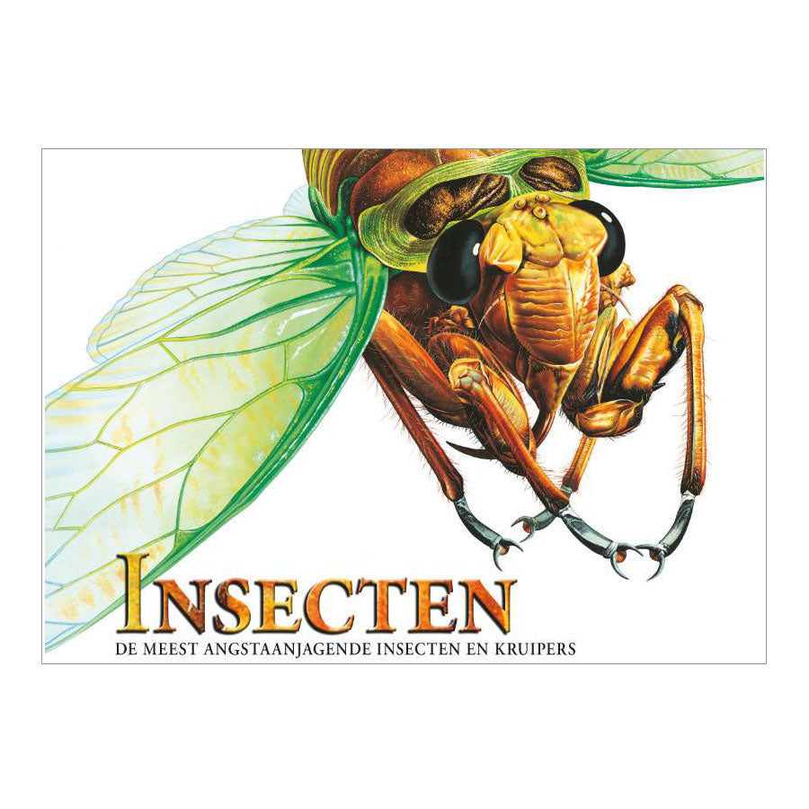 Livre des éditeurs Rebo sur les insectes, créatures terrifiantes