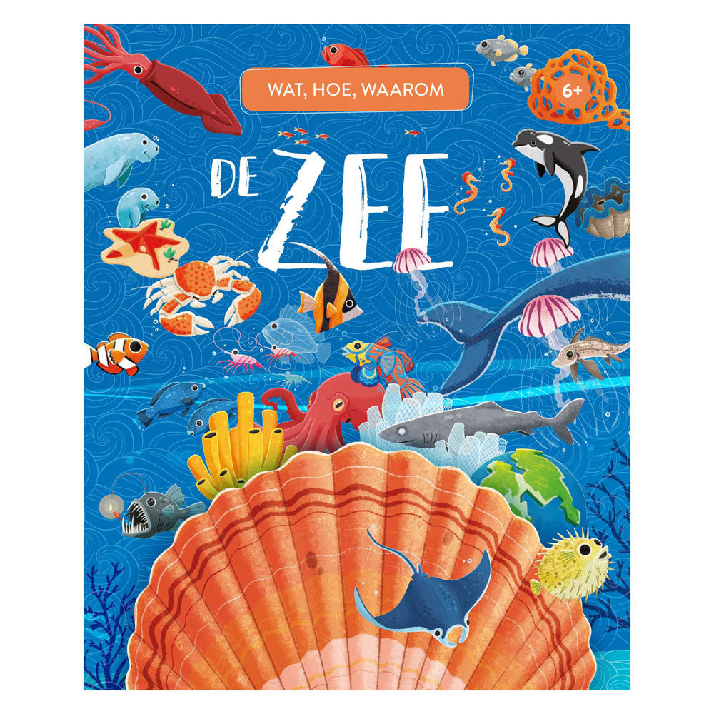 Rebo éditeurs la mer - quoi, comment, pourquoi 6+