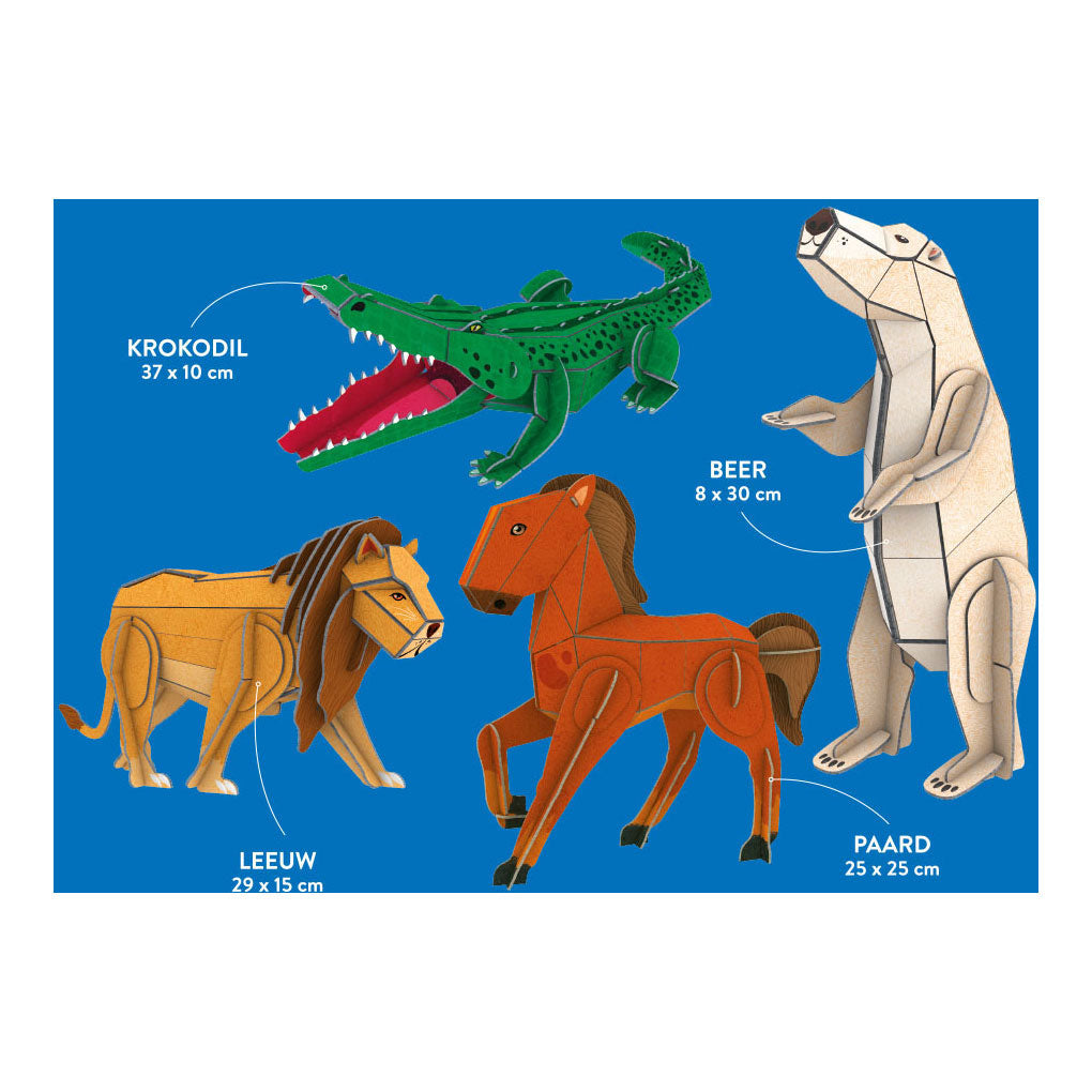 Animaux Rebo - ensemble de faits et de jeux