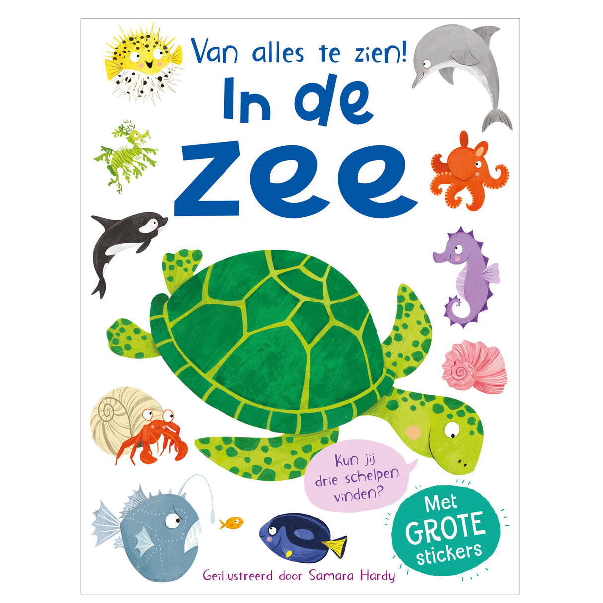 Les éditeurs Rebo dans la mer - beaucoup à voir !