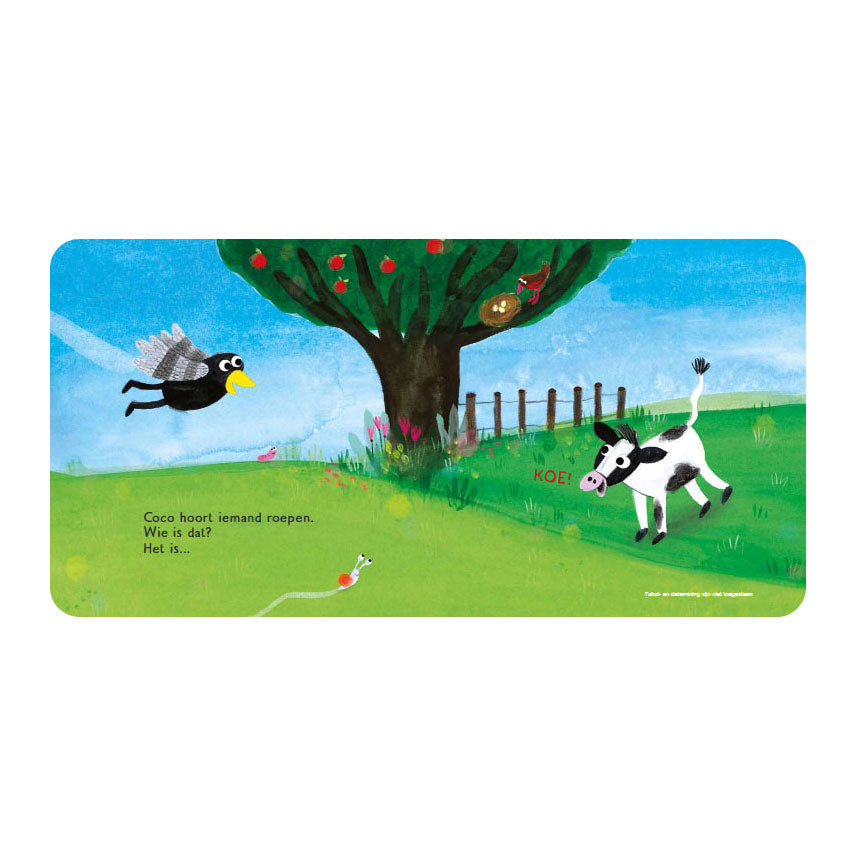 Gottmer coco dans le pré - livre à rabat
