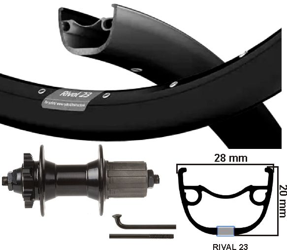 Kgs roue arrière 28 pouces (622) rival 23 cassette noire 8-10 sp disque 6 boulons